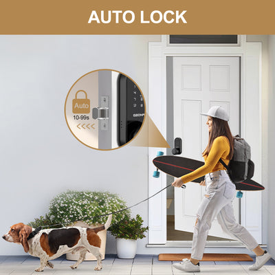 Smart Door Lock with Knob Geonfino