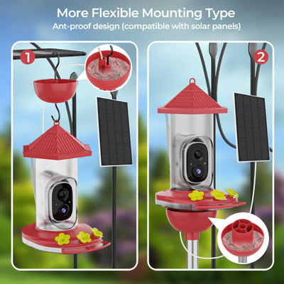 Smart Hummingbird Feeder with Camera