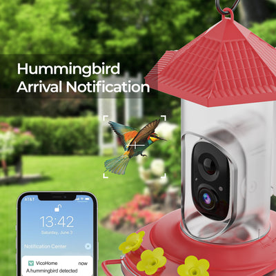 Smart Hummingbird Feeder with Camera