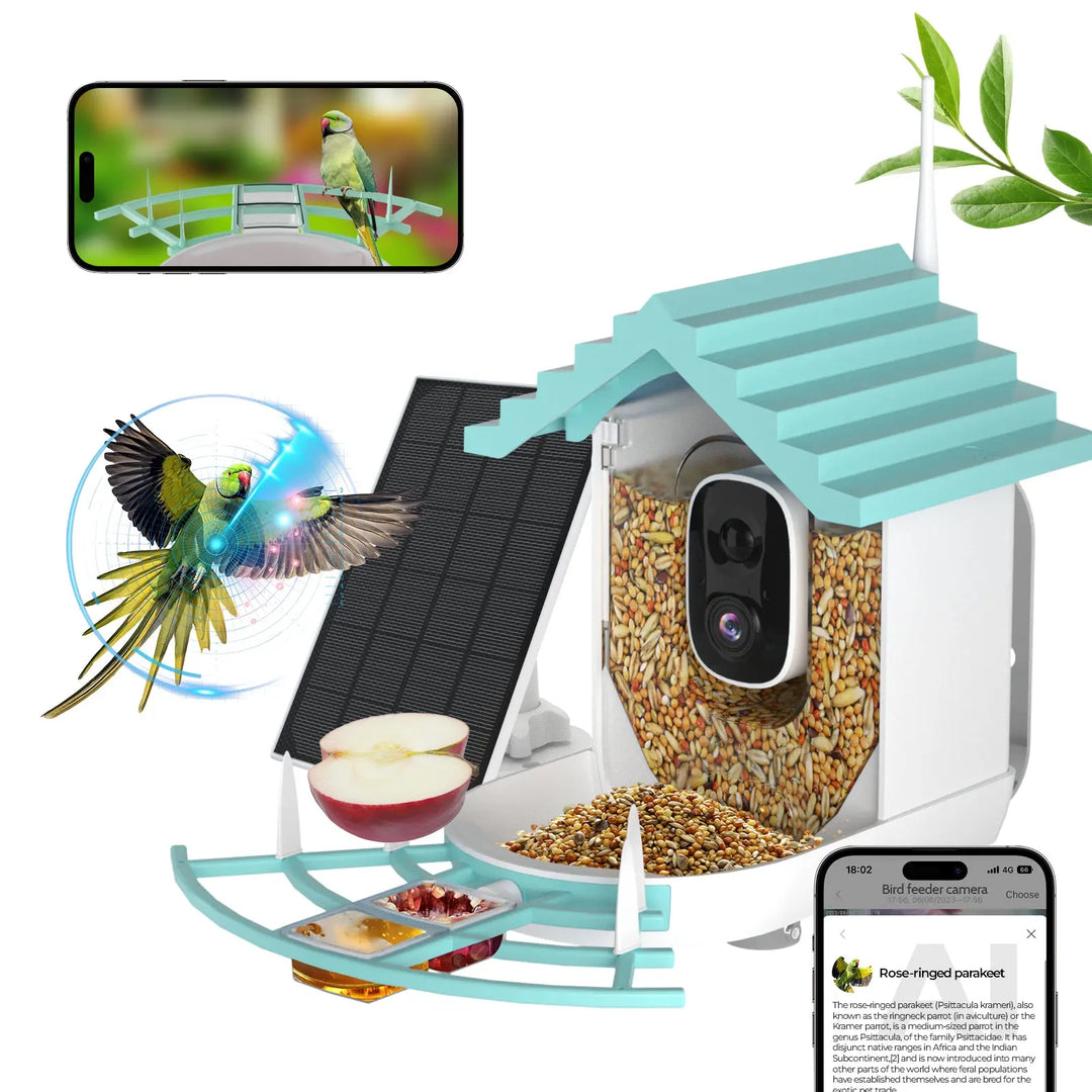 Bird feeder camera outlets