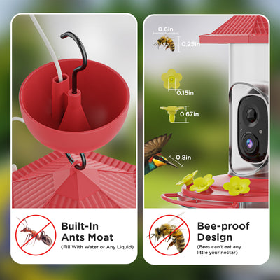 Smart Hummingbird Feeder with Camera