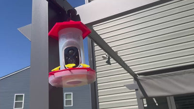 Smart Hummingbird Feeder with Camera